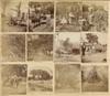 (AFRICAN AMERICANS) Leaf with 12 photographs of slaves in South Carolina and Florida,